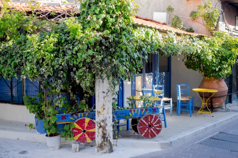 Άδεια τραπεζάκια και μπλε καρέκλες καφενείου δίπλα σε δέντρο με πυκνή φυλλωσιά στη Μυτιλήνη