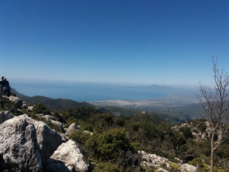 Άποψη της Καλαμάτας και του Μεσσηνιακού κόλπου από τον Ταΰγετο, με βράχια και θάμνους μπροστά