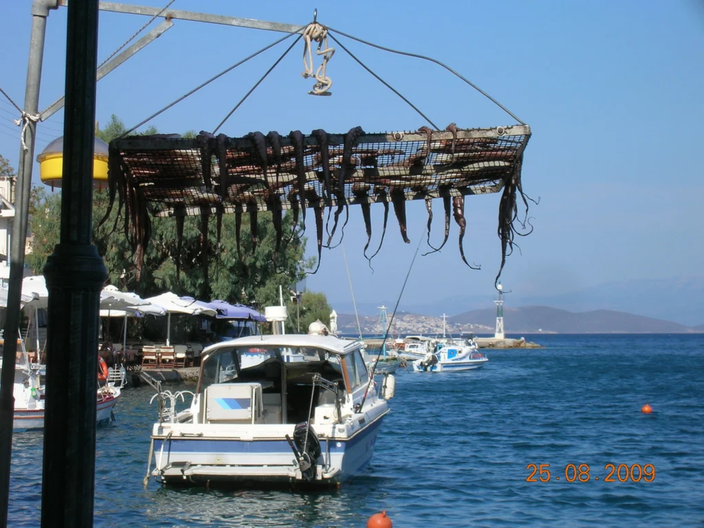 Χταπόδι κρεμασμένο να στεγνώνει δίπλα στο λιμανάκι της Λαγκάδας Χίου, με βάρκες και θάλασσα