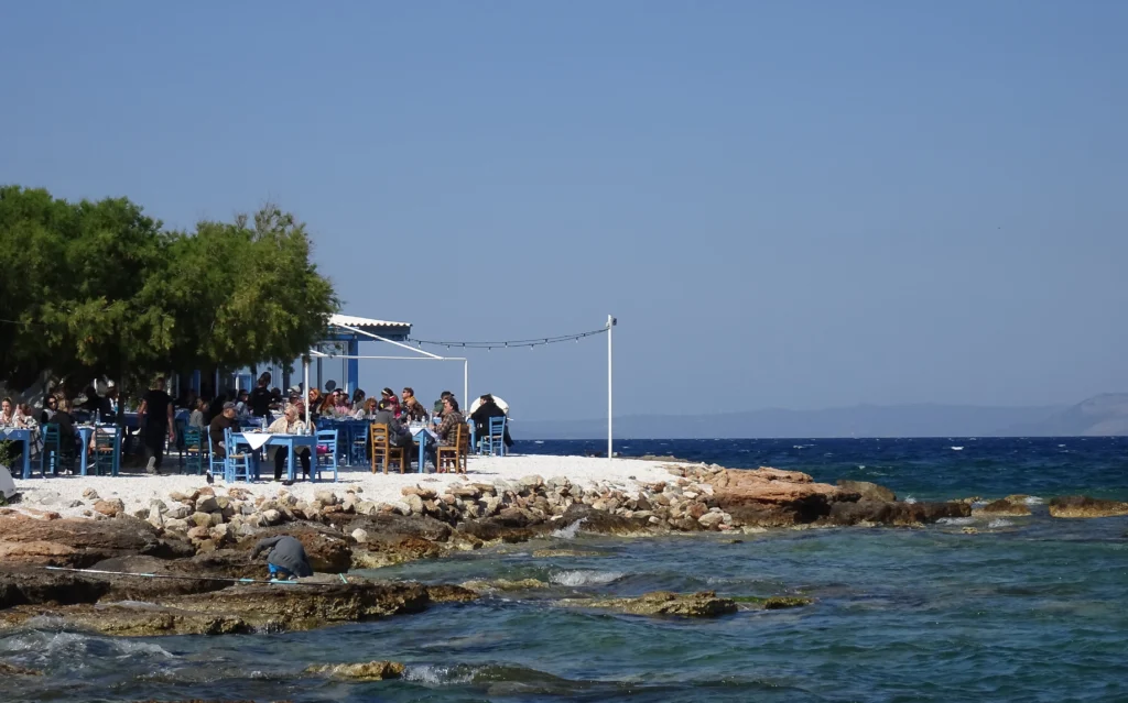 Παραθαλάσσια ταβέρνα με μπλε τραπέζια και καρέκλες κάτω από δέντρα, δίπλα σε βραχώδη ακτή