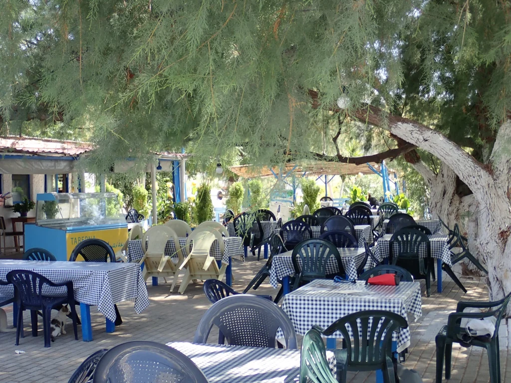 Άδεια τραπέζια με καρό τραπεζομάντιλα και πλαστικές καρέκλες σε αυλή ταβέρνας κάτω από δέντρα